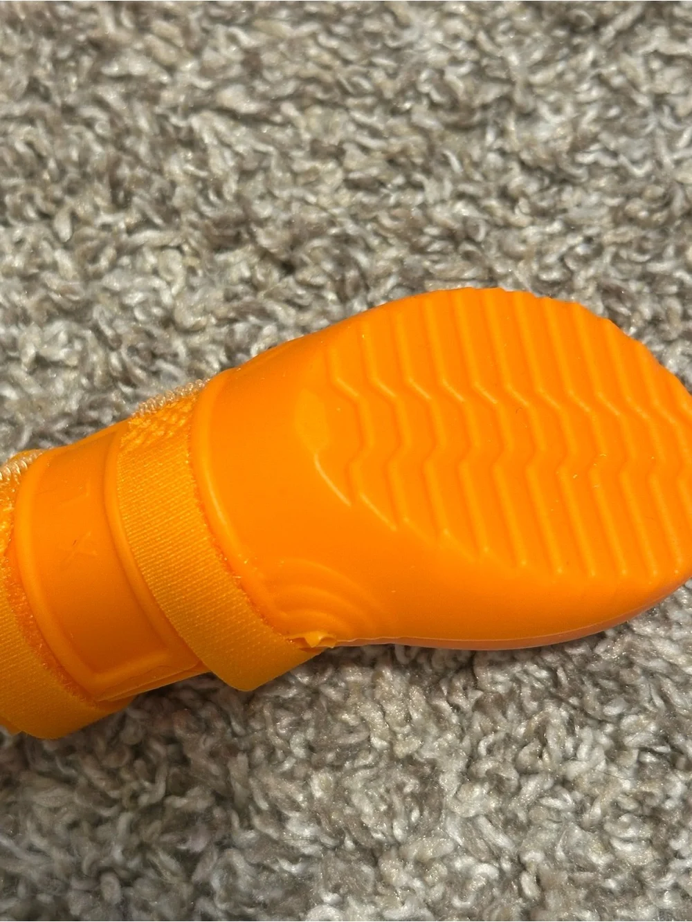 N/A dog boots